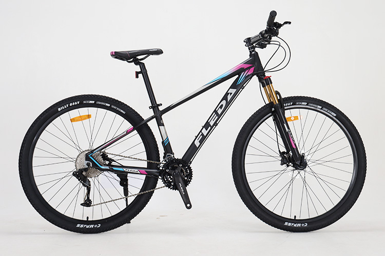 ​Mountain Bike