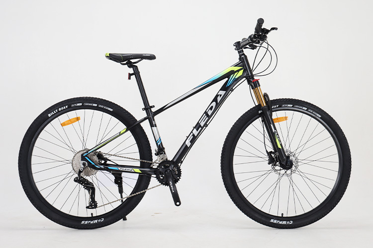 ​Mountain Bike