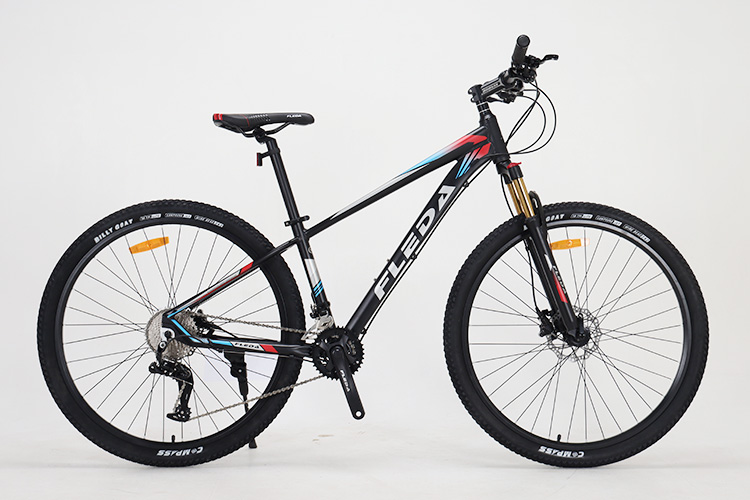 ​Mountain Bike