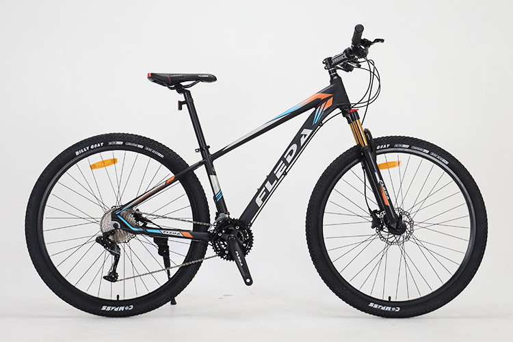 ​Mountain Bike